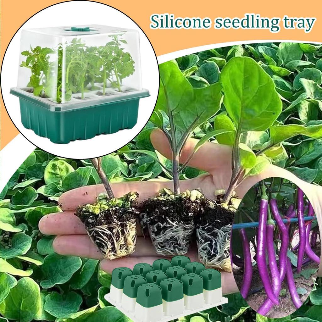 Plant Starter Trays Seedling Kits 12-Cell Trays With Dome And Base For Balcony Window Sill Classroom Small Space Gardening