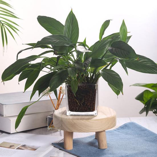 Piccolo sgabello rotondo stabile rotondo lucidato lavorazione di pregio materiali naturali stoccaggio moderno ecologico colore legno sgabello per bambini accessori per la casa