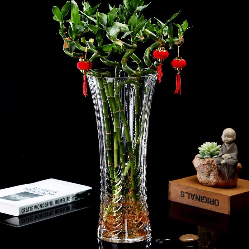 Extra Large Transparent Glass Vase, 50cm Height, Wide Diameter for Flower Arrangements, Living Room Decor, Hydroponic Lucky Bamboo