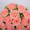18 Heads Real Happy Flower Mini Natural Simulated Rose Valentine's Day Flowers  Home Decorative