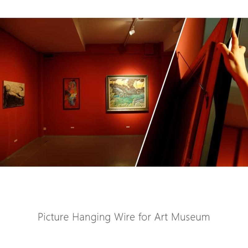 Pack Of 2 Steel Hanging Wire with Adjustable Length Picture Hanging Cable Adjustable Wire for Heavy Frame & Mirrors