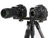 SLIK Tripod Head Accessory Plate II for Mounting Two Cameras (201152)