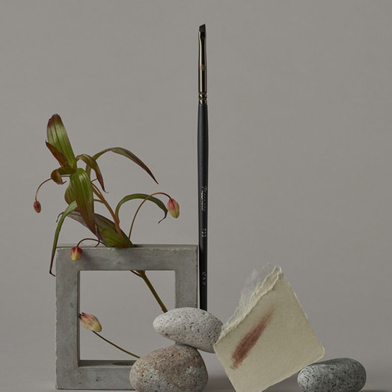 Piccasso 722 Diagonal Eyeshadow 722 diagonal eyeshadow