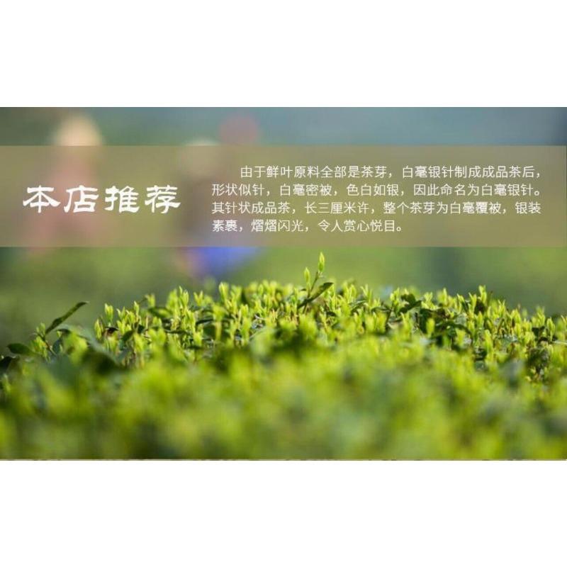 Premium Silver Needle White Tea Chinese Bai Hao Yin Zhen Loose Tea 75g Tin
