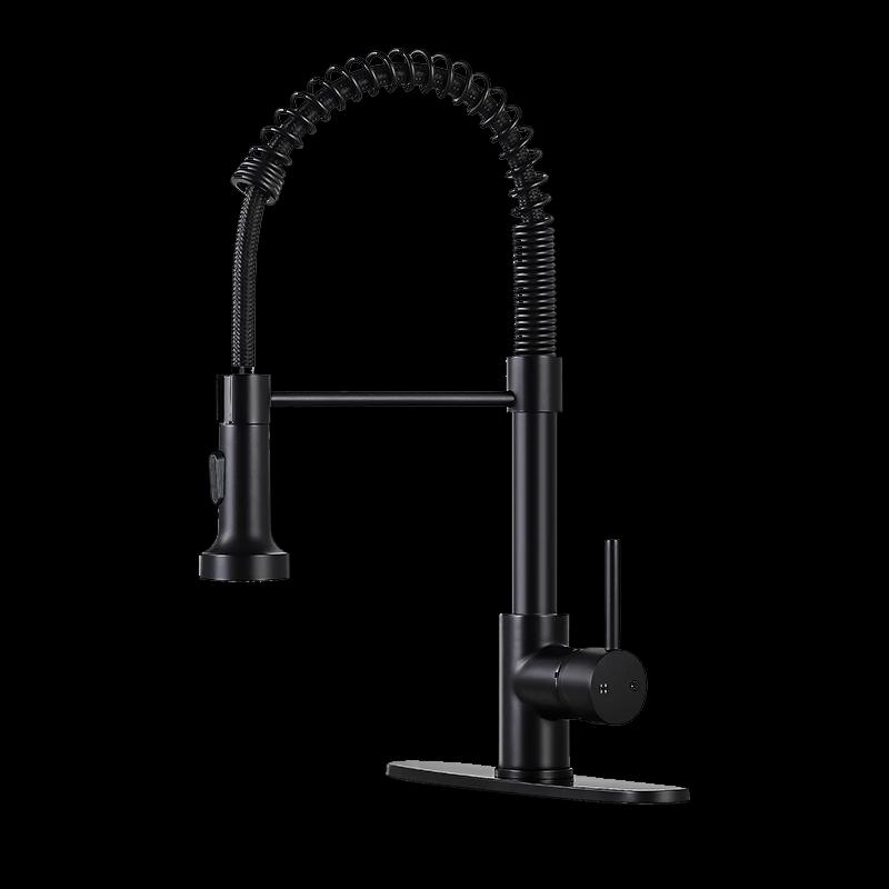 LINGJULI Stainless Steel Pull-Out Kitchen Faucet with Filter Function