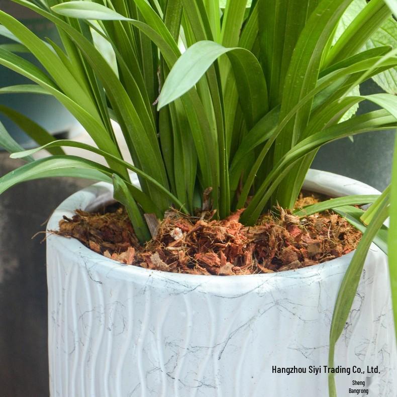 Orchid Nutrient Soil: Small Coconut Husk Bricks & Coarse Fiber for Phalaenopsis/Dendrobium Growing Medium