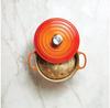Жаровня Le Creuset Signature круглая 28 см духовка красная 6,7 л (21177280902430)