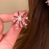 Elegant High-End Firework Stud Earrings: Niche Fashion Design for Women