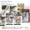 Serpieri Tarot [Paulo Eleutheri Serpieri Tarot] Fortune Telling Method with Japanese Instructions, Authentic Tarot Cards, 78 Cards