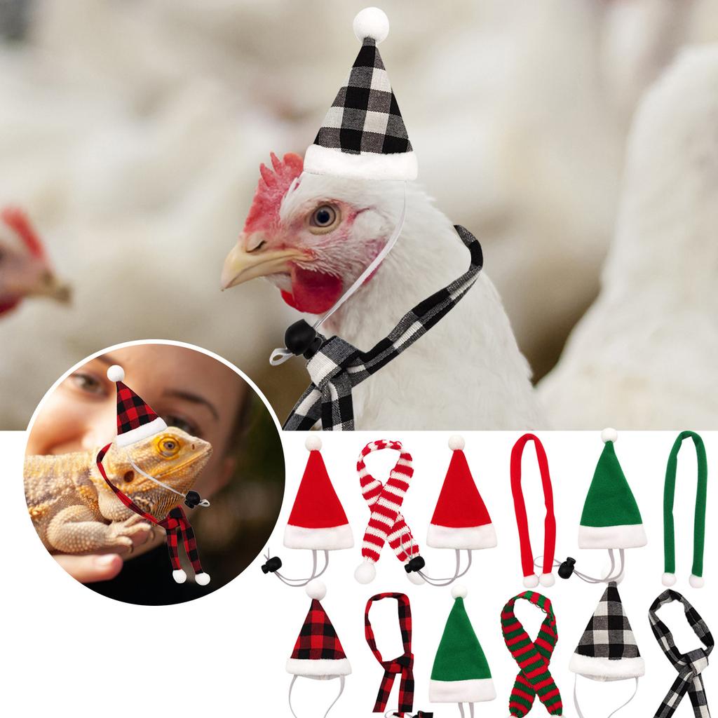 Pet Christmas Dressup Set,1set Chicken Guinea Pig Lizard Pet Christmas Dressup Set