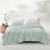 Mercury Lyocell Mulberry Silk Blend Spring/Autumn Duvet