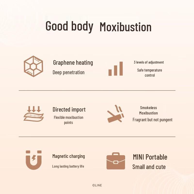 ogawa Portable Electric Smokeless Moxibustion Device CN Plug (adapter Included)