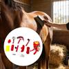 11Pcs Horse Grooming Kit,Horse Tack Brush Set Sweat Scrape Cleaning Tools Horses Care Supplies for