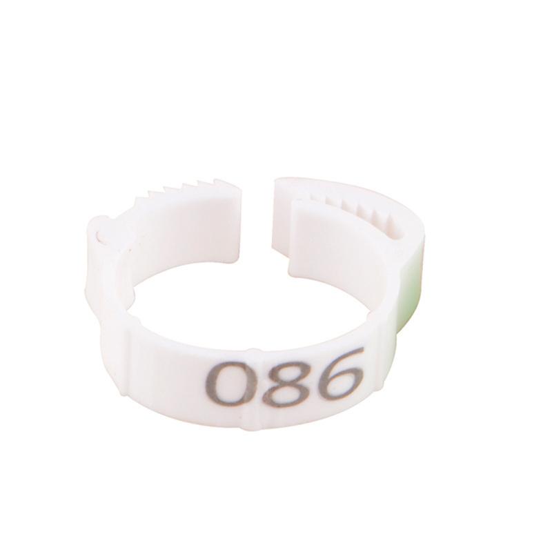 100 buc/pachet Inele pentru picioare de unică folosință Marcare cataramă cu cuvinte potrivite pentru pui, gâscă, rață