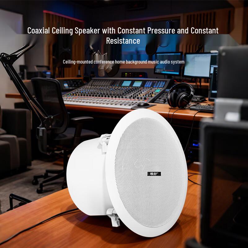 Weishu XDH-840 8-inch Coaxial Ceiling Speaker (CN version)