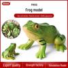 Children's Educational Wild Animal Model Toys: Solid Bullfrog Frog Ornaments