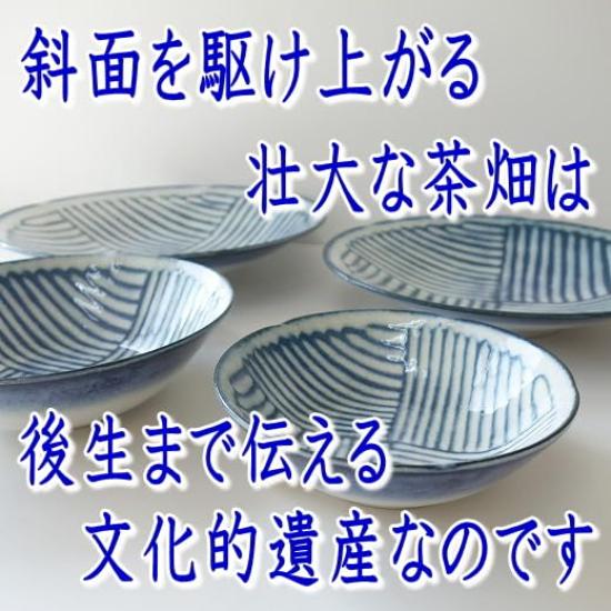 Mino Ware Japanese Tableware Tea Plantation 13cm Set of 5 Bowls Made In Japan Microwave Safe Dishwasher Safe Small Bowl