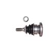 Mercedes-Benz 164 Suspension Control Arm and Lower Ball Joint 1643300935