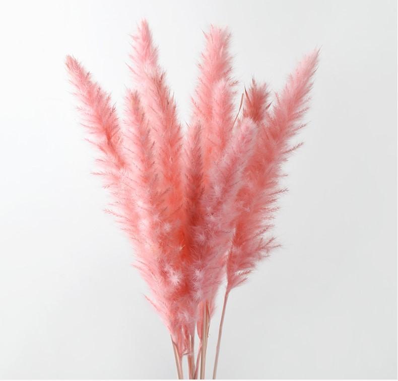 15 шт. Сухоцветы и букет, Свадебное украшение, Букет цветов One Size