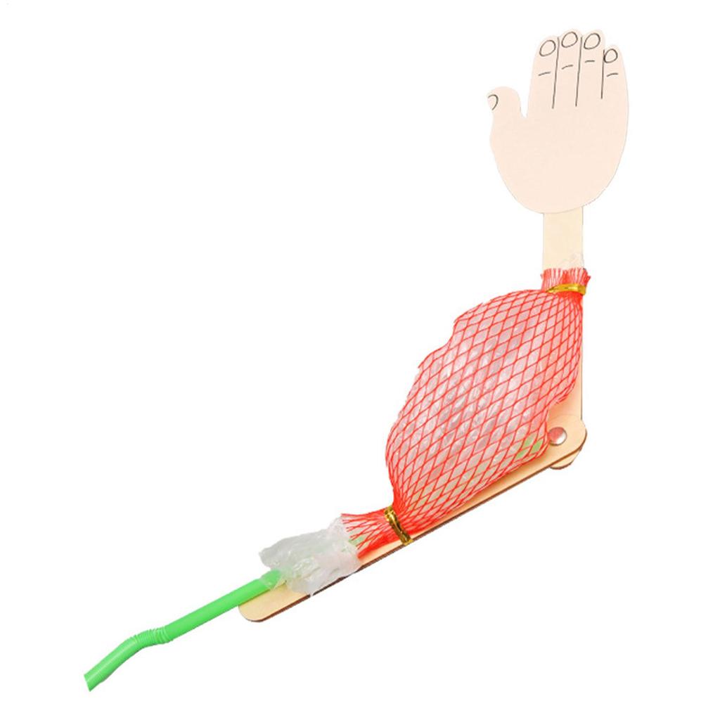 Interactive Science Project Toy Biological Science Model Science Experiment Toy For Projects Kids Learning Early Educational Toy