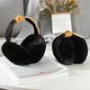Outdoor Cold Protection Plush Ear Warmer Soft Warm Earmuffs Fashion Hair Hoop Earmuffs  Women