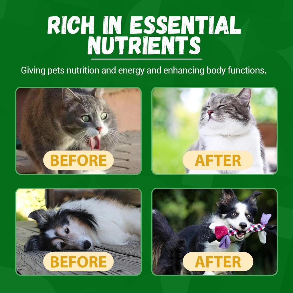 YEGBONG Doplněk stravy pro domácí zvířata Zvýšená energie Doplněk vitality pro psy a kočky Péče o tělo domácího zvířete