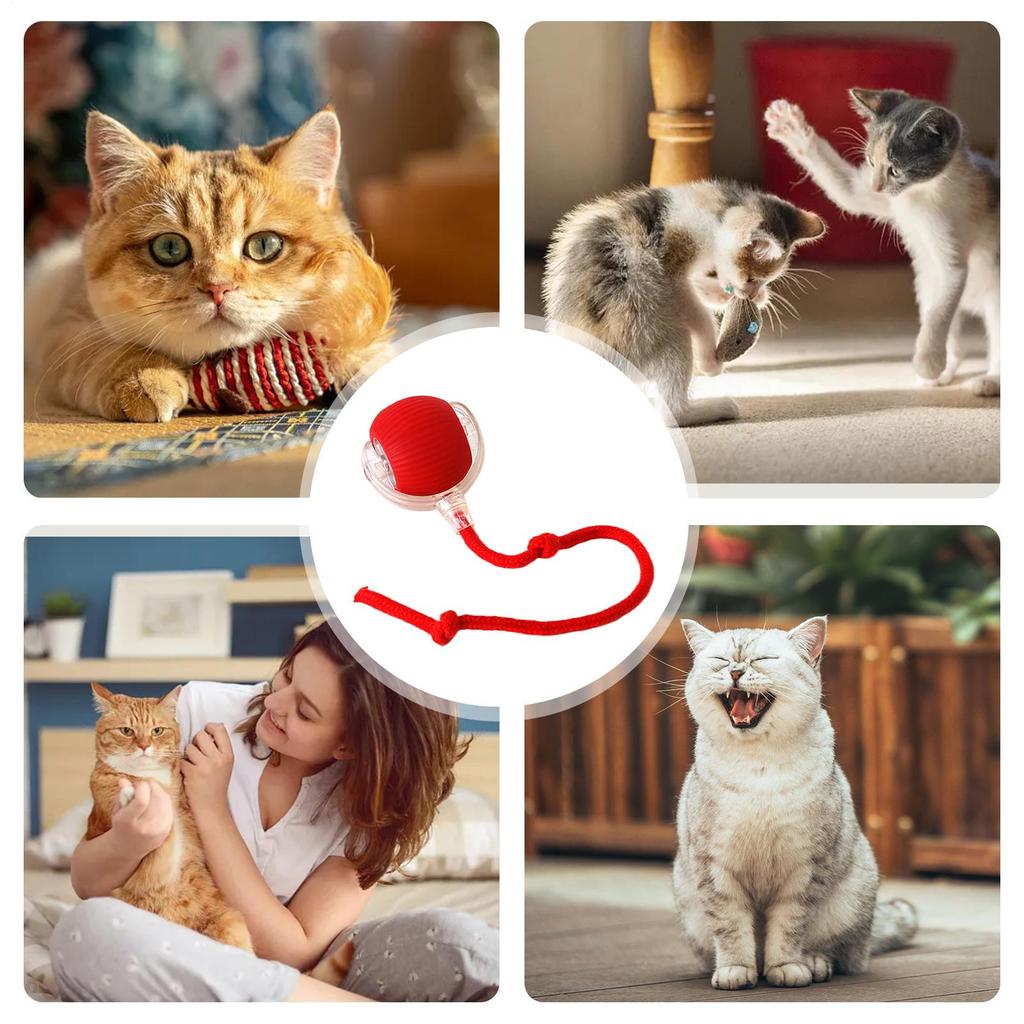 New Cat Interactive Ball Toy,Automatic Rolling Cat Ball Rechargeable,Smart Kitten Interactive Toy,Intelligent Balls Toy for Cat
