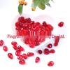 Red Glazed Gravel for Aquarium & Potted Plants – Decorative Stone for DIY Landscaping, 1 Jin