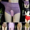 Lingerie Mens Underwear Mesh Panties Polyester Regular