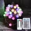 Bubble Ball LED Fairy String Lights with Remote