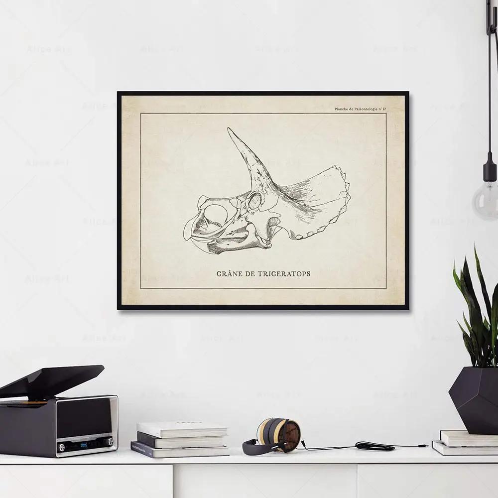 Canvas Painting Nordic Posters And Prints Vintage Dinosaur Skeleton Paleontology Wall Art Wall Pictures For Boy Kids Room Decor