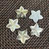 1Pc, Natural Shell Pendants, Handcrafted Star Charms In Marine Style, 32×32mm, for DIY Necklace Accessories, Jewellery Making, Crafts for Men Women