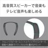 Sony Wireless Neckband Speaker SRS-NB10: Neck-worn style / Equipped with two high-performance microphones for teleworking / Lightweight for comfortabl