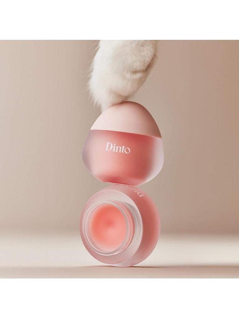 Dinto [Dinto] Chubby Mochi Jelly Paw Paw Lip Mask