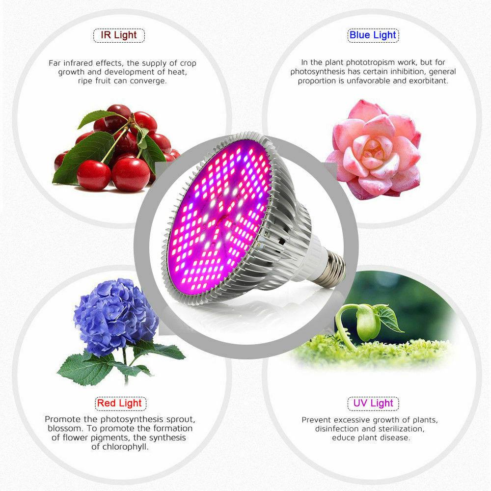 Buy 50/80/100W LED Grow Light Bulb E27 Full Spectrum Hydroponic Plant ...