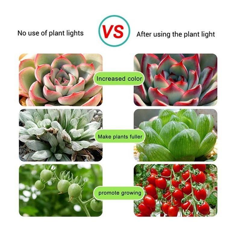 1M/2M/3M/4M/5M Pflanzenlicht Grow LED-Streifen 5V USB LED 1-5m Vollspektrum Wasserdichter LED-Chip für Gewächshaus Blume Setzling Grow Box Hydroponik