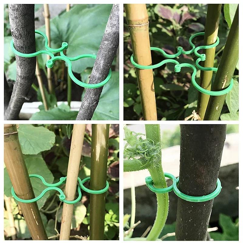 10-50PCS Garden Vine Strapping Clips Plant Bundled Buckle Ring Holder Tomato Plant Stand Support Tool Garden Tomato Grapevine Ties