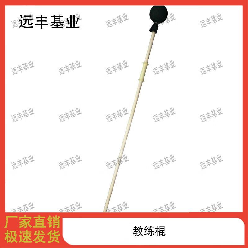 Martial Arts Training Stick