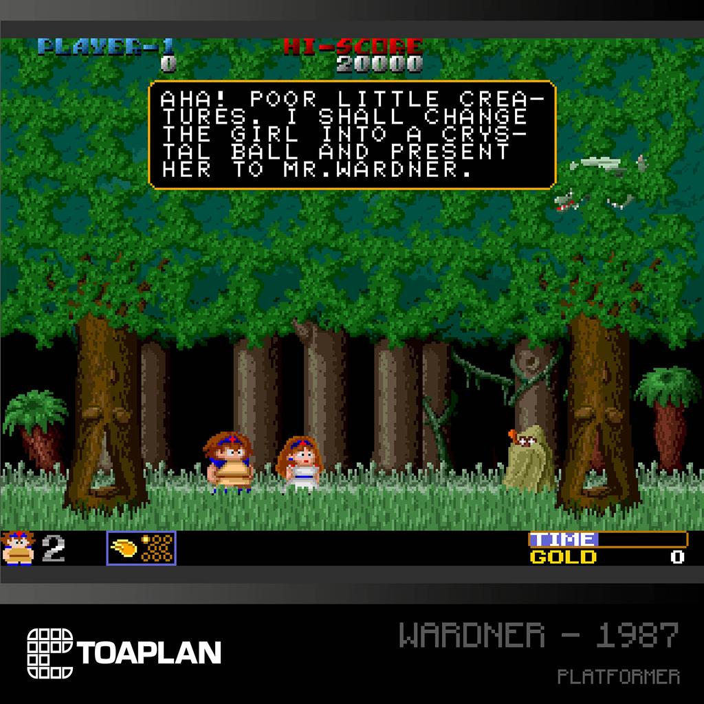 Toaplan Arcade 2 - Evercade Physical Cartridge (7 Arcade Classics)