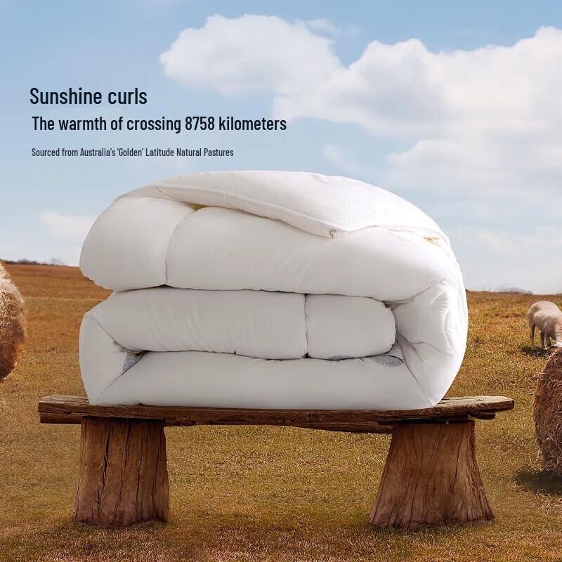 

Mercury Home Textiles All-Season Wool Quilt