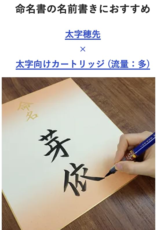 Kuretake Beautiful Calligraphy Pens Perfect King and Light Ink with Cartridge Compatibility Ideal for New and Kuretake brush pens are perfect for