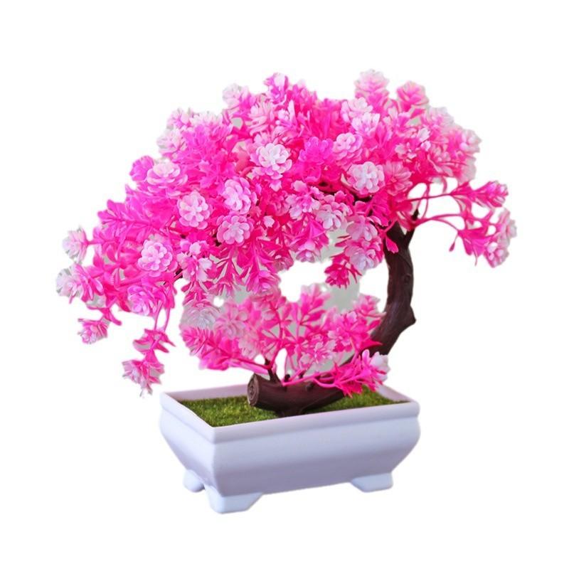 Plastic Bonsai Terrarium With Creative Design For Indoor Garden Display