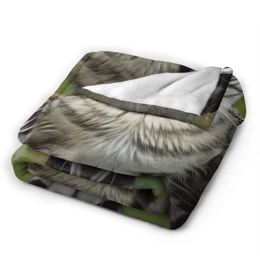 Ciao Meowl Gatto Animale Divertente Coperta di Flanella Inverno Morbida Resistente Plaid per Studenti Arredamento Casa Copriletto Copri Divano Letto