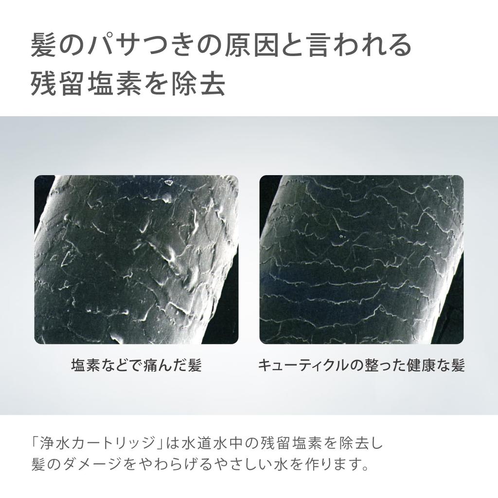 Schöne Dusche Wasserreinigung 2 Stück Takagi Dusche Chlor Entfernung Wasser Restchlor Chlor Schöne Haut Haar Kopfhaut Wasser