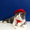 Pet Cat Hat Headgear Fine Workmanship Cashmere Elegant Soft Beret Bow Tie Collar Decoration Dogs Cap Beret For Decor New Year