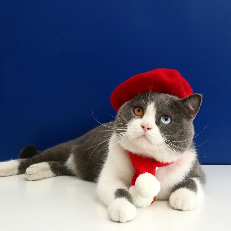 Pet Cat Hat Headgear Fine Workmanship Cashmere Elegant Soft Beret Bow Tie Collar Decoration Dogs Cap Beret For Decor New Year