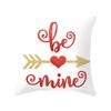 Valentine's Day Throw  Love Printed Peach Skin Sofa  Cover Decor