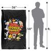 Looney Tunes Group Circle Logo Blanket