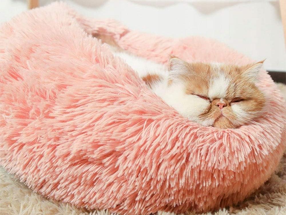 Plush Bed 100 Pink (15) Gab_C