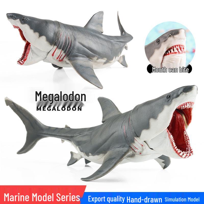 Megalodon & Great White Shark Model - Educational Marine Animal Toy for Kids